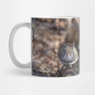 Cute Squirrel Mug